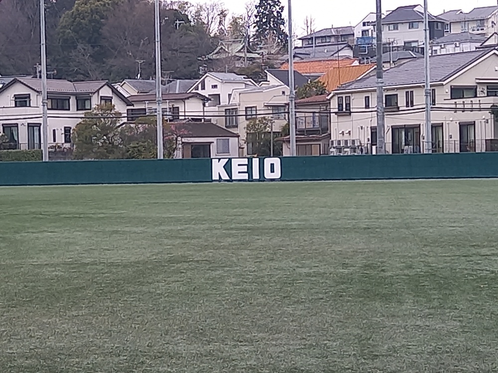 慶應義塾大学野球グラウンドです。